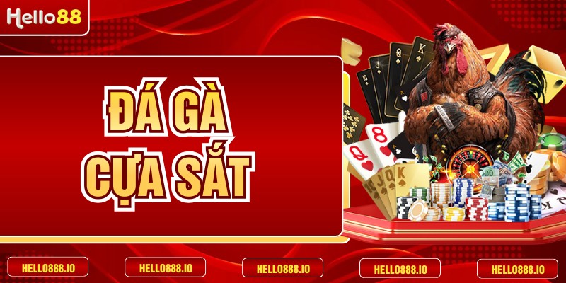 Đá Gà Cựa Sắt - Nghệ Thuật Chọi Gà Đỉnh Cao 2026