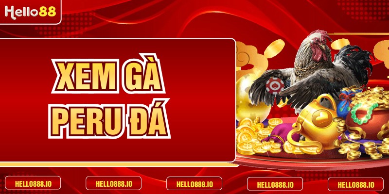 Xem Gà Peru Đá - Cẩm Nang Theo Dõi Những Màn Tranh Tài